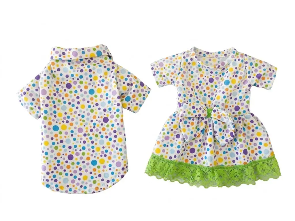 Conjunto de dos piezas coordinado y elegante para mascotas